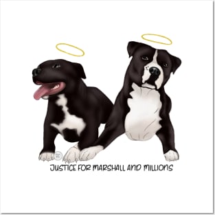 Justice for Marshall and Millions Posters and Art